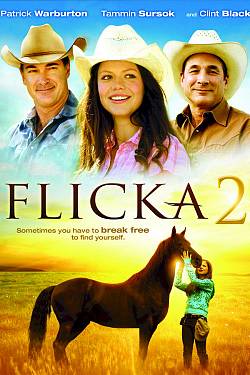 Flicka 2