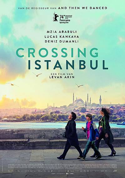 Crossing Istanbul