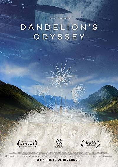Dandelion's Odyssey