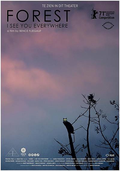 Forest - I See You Everywhere