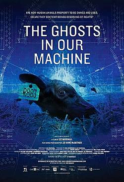 The ghosts in our machine