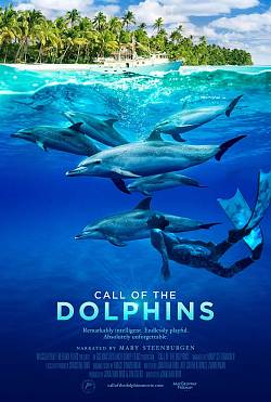 Call of the Dolphins!