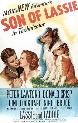 Son of Lassie