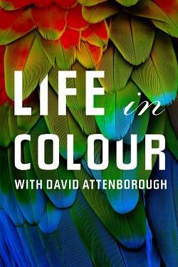 Life in Color with David Attenborough