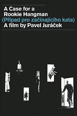 A Case For A Rookie Hangman