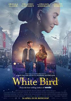 White Bird White Bird