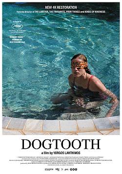 Dogtooth Dogtooth