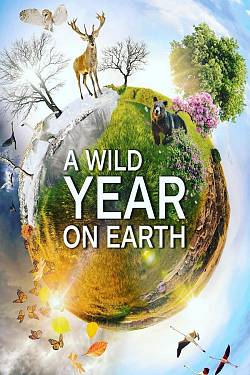 A Wild Year on Earth A Wild Year on Earth