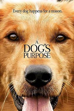 A Dog's Purpose A Dog's Purpose