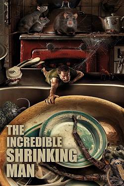 The Incredible Shrinking Man The Incredible Shrinking Man