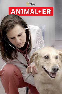 Animal ER Animal ER
