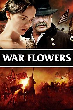 War Flowers War Flowers