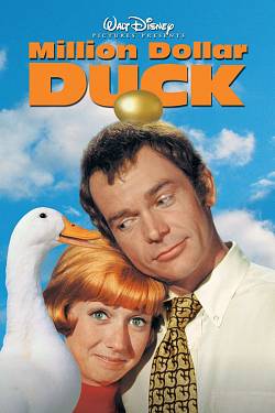 The Million Dollar Duck The Million Dollar Duck