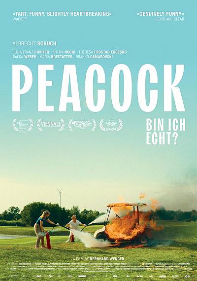 Peacock Peacock
