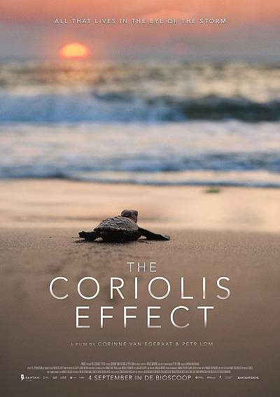 The Coriolis Effect The Coriolis Effect