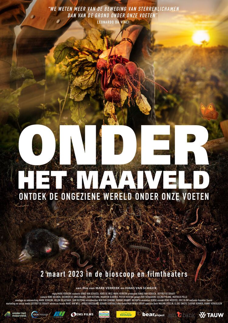 Onder het Maaiveld Onder het Maaiveld